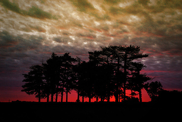 062011 Morning Color