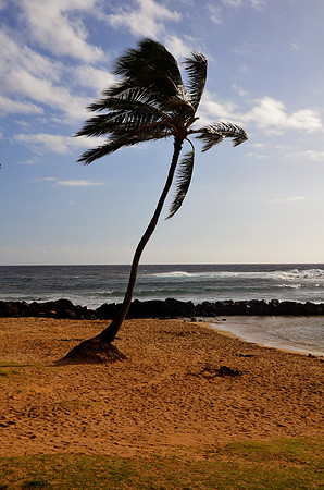 Warm Breezes