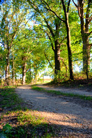 Sep232012_4088 a_tint