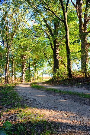 Sep232012_4088 a_tint