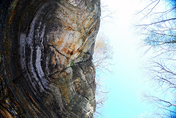 022011 Looking up the Canyon Wall