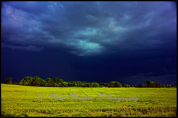 Brewing Storm