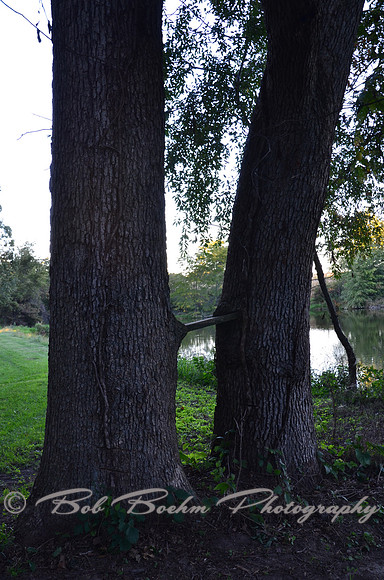 Sep232012_4134