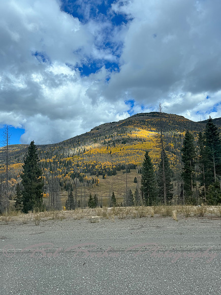 IMG_2628