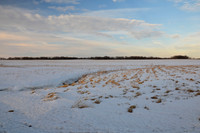 March Field