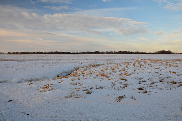 March Field