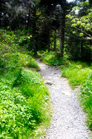 Appalachian Trail 2