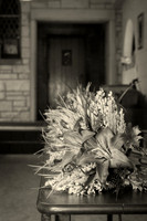 DSC_9849 Sepia