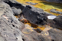 Melted Metal II