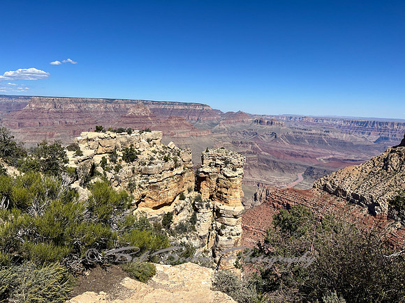 IMG_1024