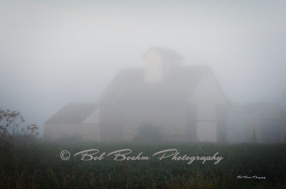 Foggy