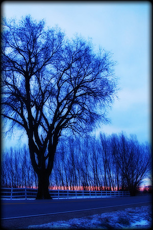 010811 This Morning Just Before Sunrise