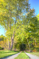 Sep232012_4080_tint Cropped