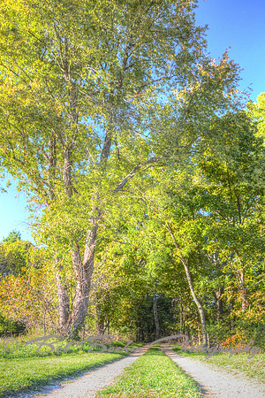 Sep232012_4080_tint Cropped