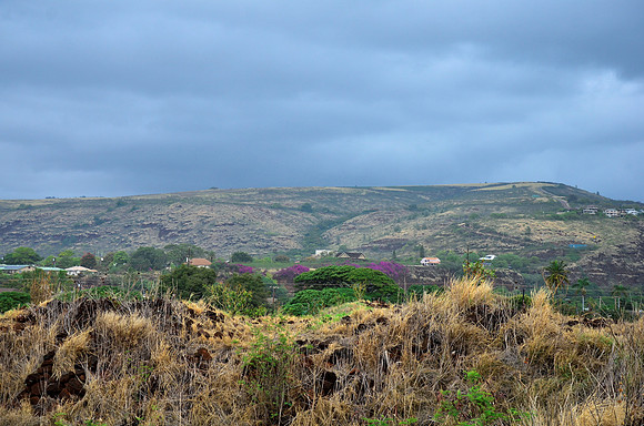Looking North - from Russian Fort Elizabeth