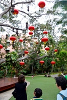 Chinese Laterns
