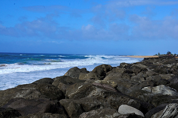 Pacific Coastline