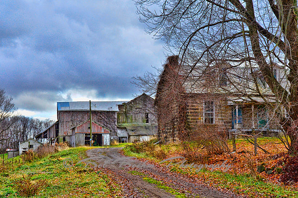 The Homestead