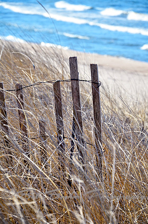 Beach Fence