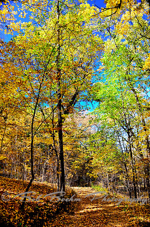_BJB6041_tonemapped