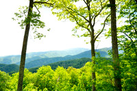 The Smoky Mountains