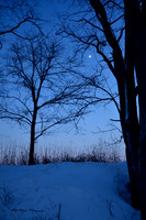 Westward III