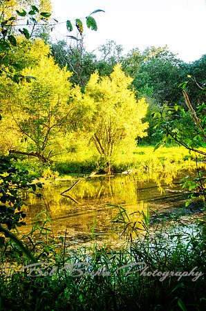 Sep232012_4132