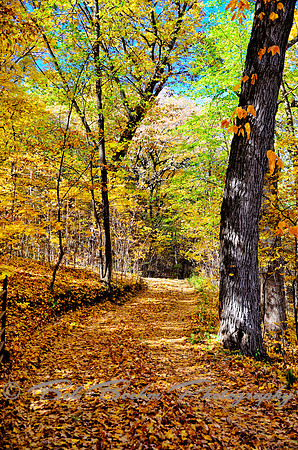 _BJB6040_tonemapped