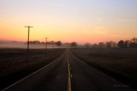 Into The Mist
