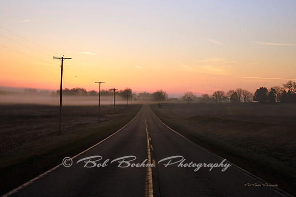 Into The Mist