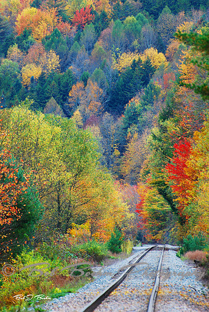 Foliage, Vermont