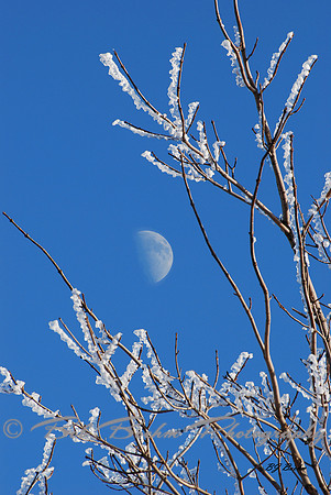 Moonrise