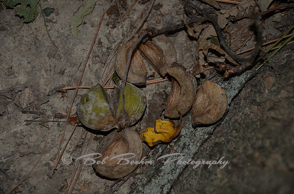 Sep232012_4108