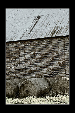 Hay Bales