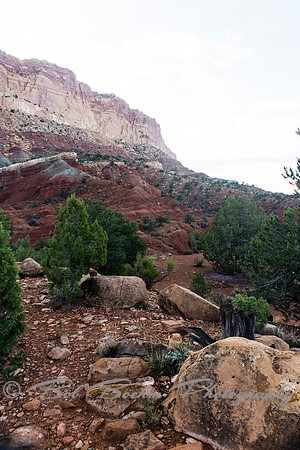 _7508243