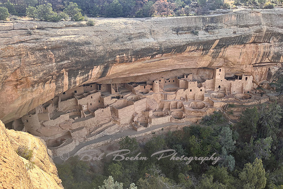 IMG_2566