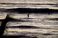 Paddleboarder