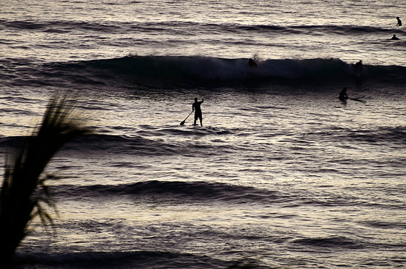 Paddleboarder