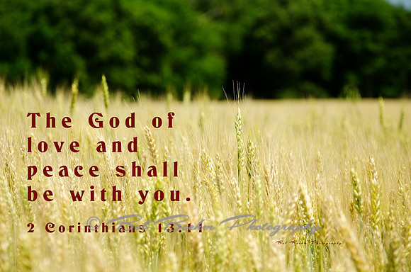 The God of Love