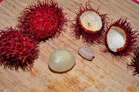 Rambutan II