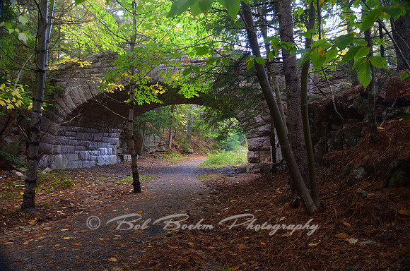 Carriage Bridge