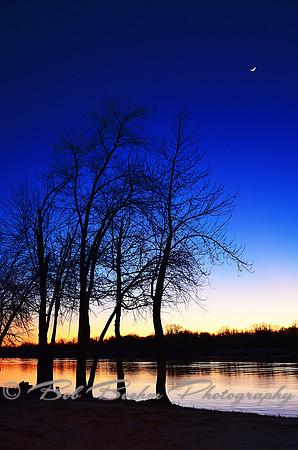 Sentinels Along The Shore