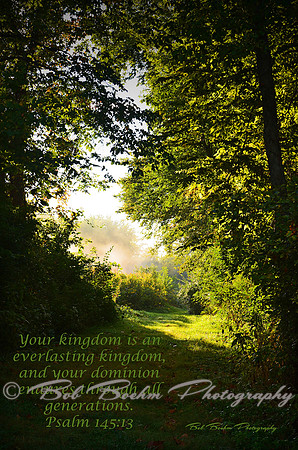 A Beautiful Kingdom Awaits