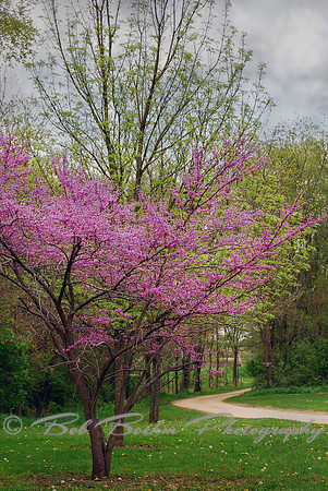 Springtime