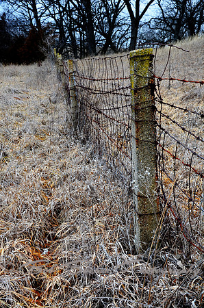 Fence line