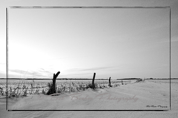 Winter Fence