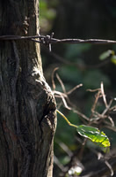 Sep232012_4085