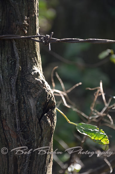 Sep232012_4085