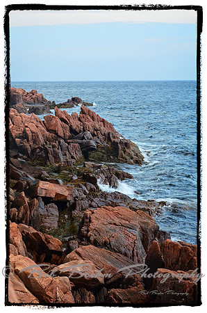 The Coast of Maine