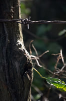 Sep232012_4086